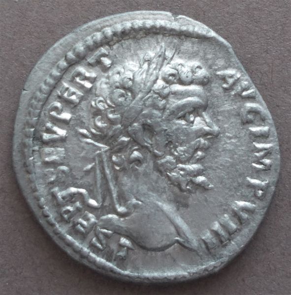 Severus-Denarius